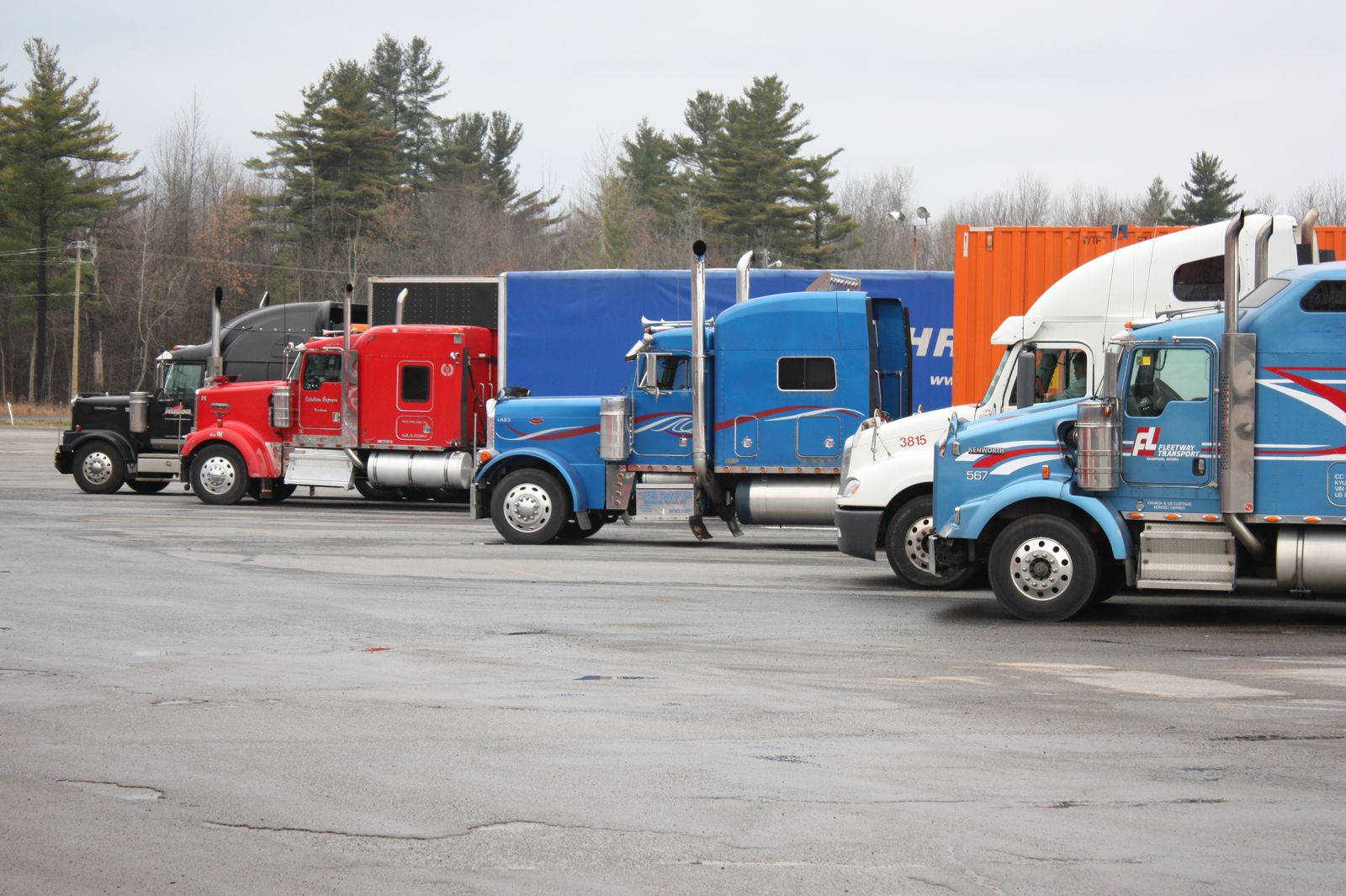 Conventional semi trucks parked in a freight yard